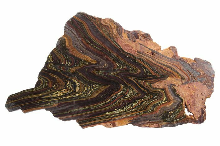 Polished Tiger Iron Stromatolite Slab - Billion Years #234819